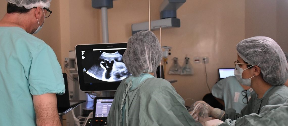 WhatsApp Image 2020-10-29 at 16.44.37